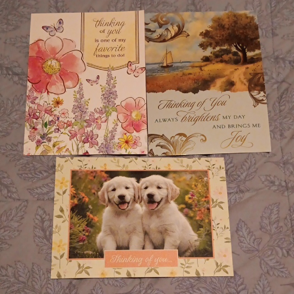 Set of 3 'Thinking of You' Greeting Cards w-matching envelopes